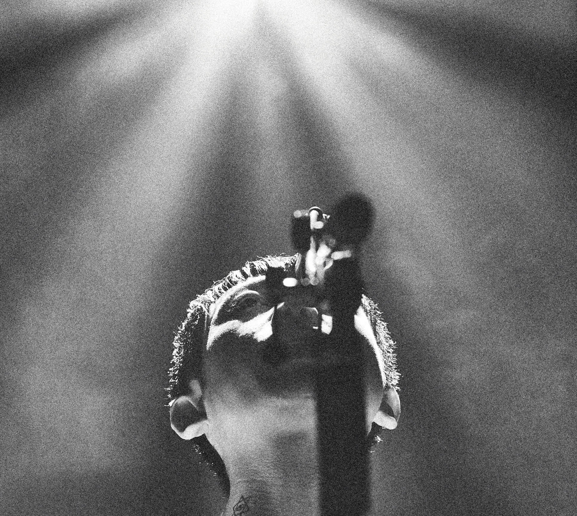 Odottebakarinokuni "光の中に/Hikarinonakani"